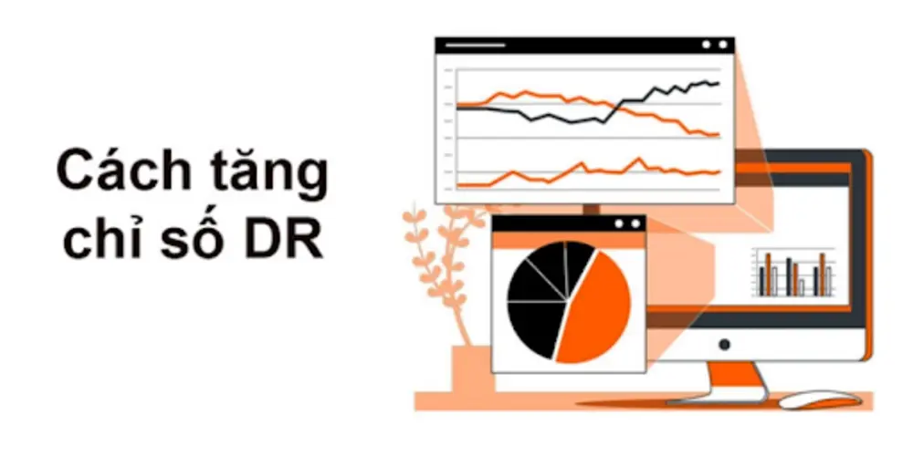 Các cách giúp tăng chỉ số Domain Rating 